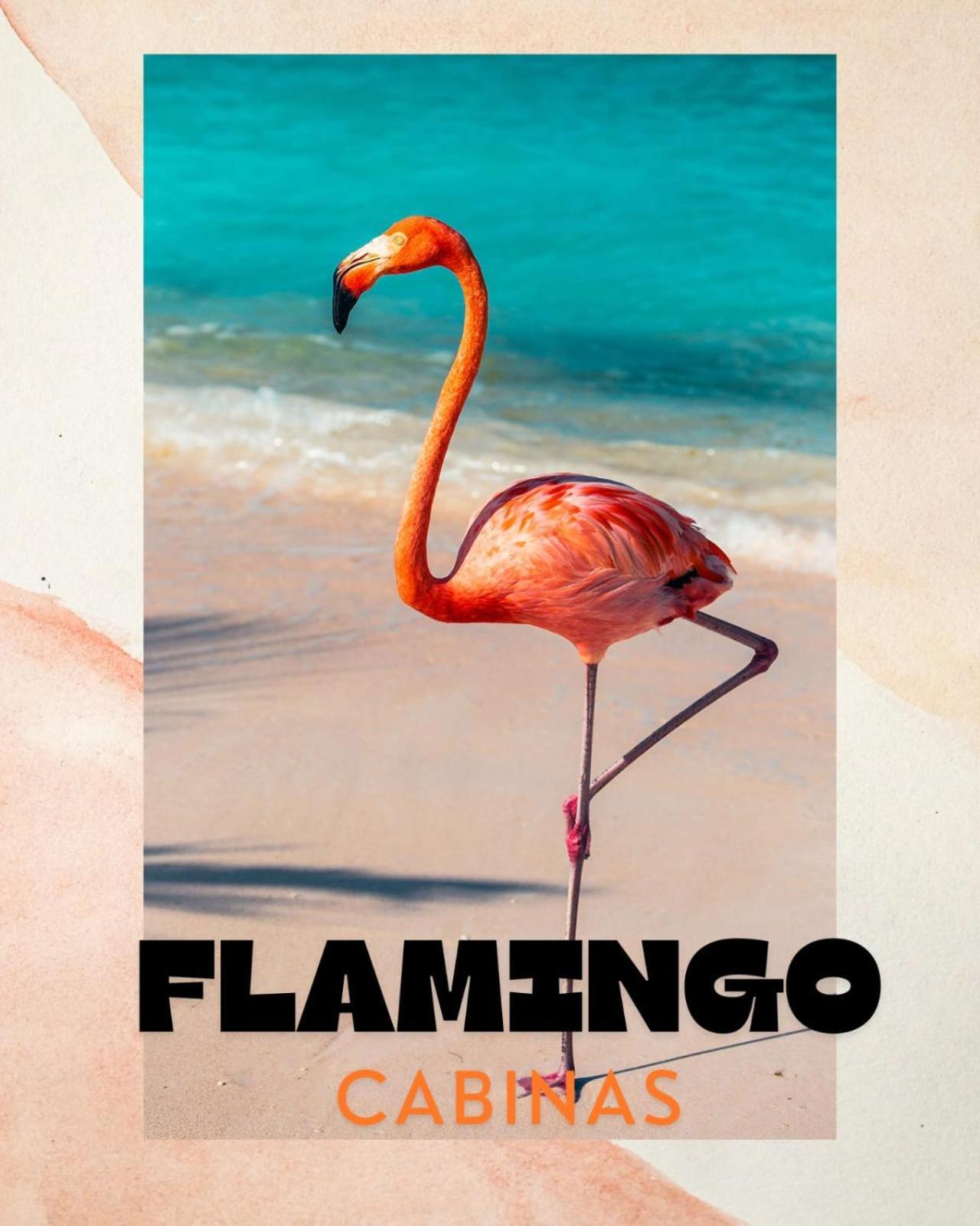 Cabinas Flamingo Playa Flamingo Ngoại thất bức ảnh